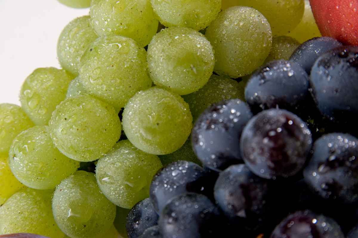 NX-7 いろどりぶどうセット 約3kg | 王将果樹園